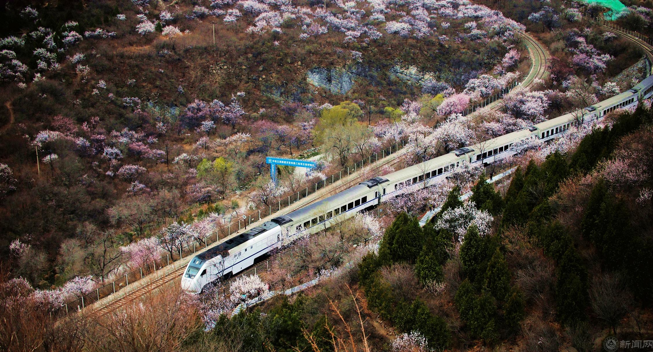 春天的快车—朱科雷.jpg